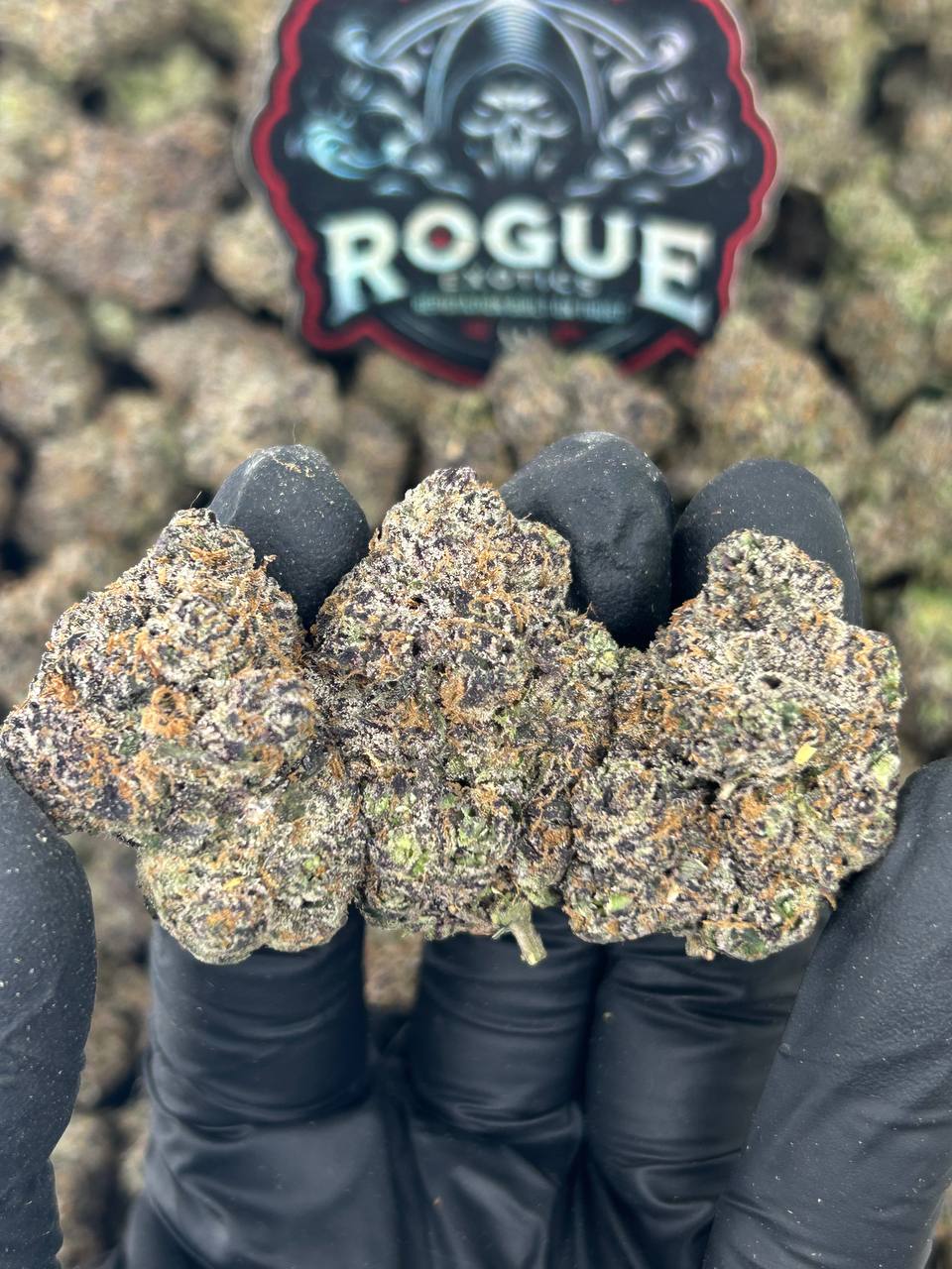 #N-CM1141 Purple Runtz