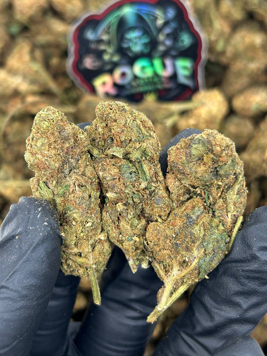#B-EC019 Honey Haze
