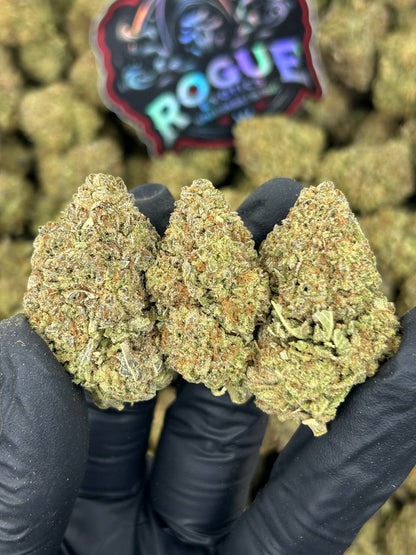 #B-EC020 Violet Fuel