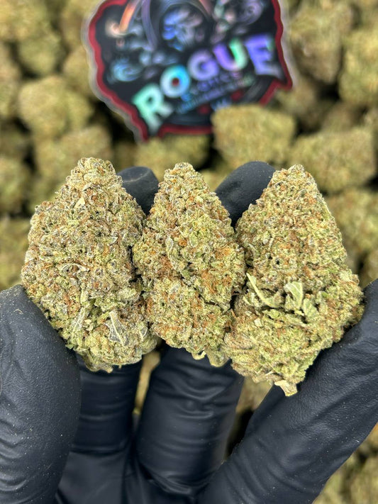 #B-EC020 Violet Fuel