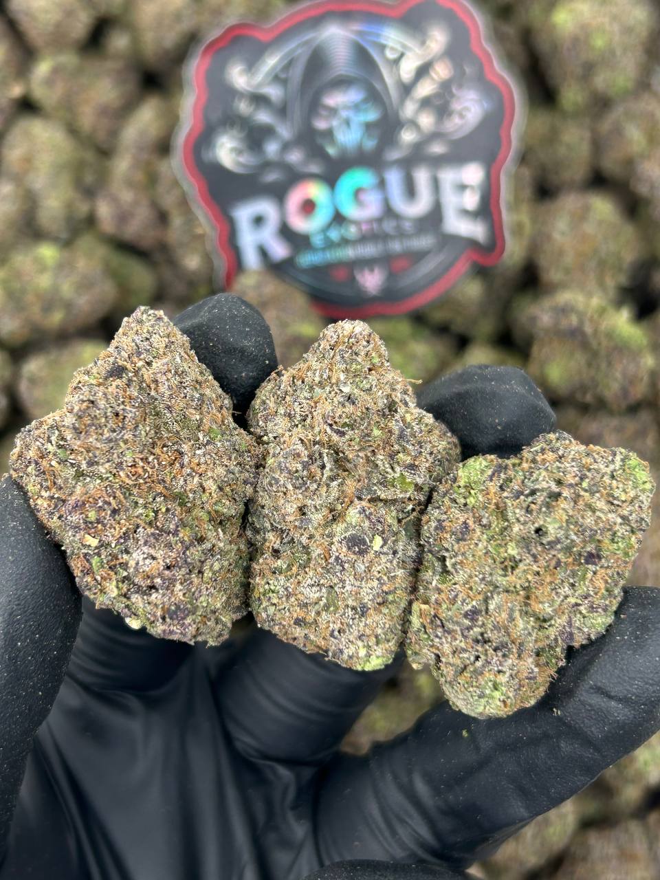 #N-CM1389 Purple Gelato Drip