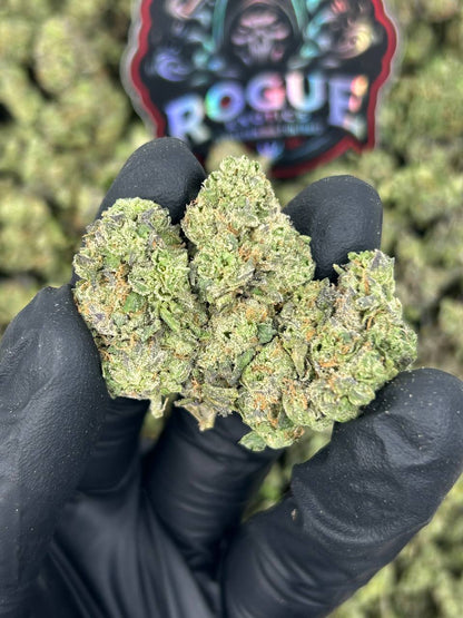 #N-EB317 Gelato Grove