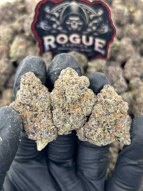 #N-CM1039 Black Cherry Gelato