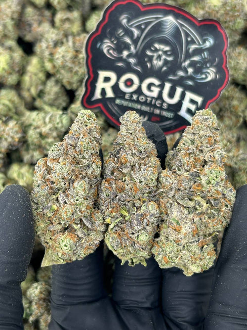 #N-EA685 Blue Cookiez