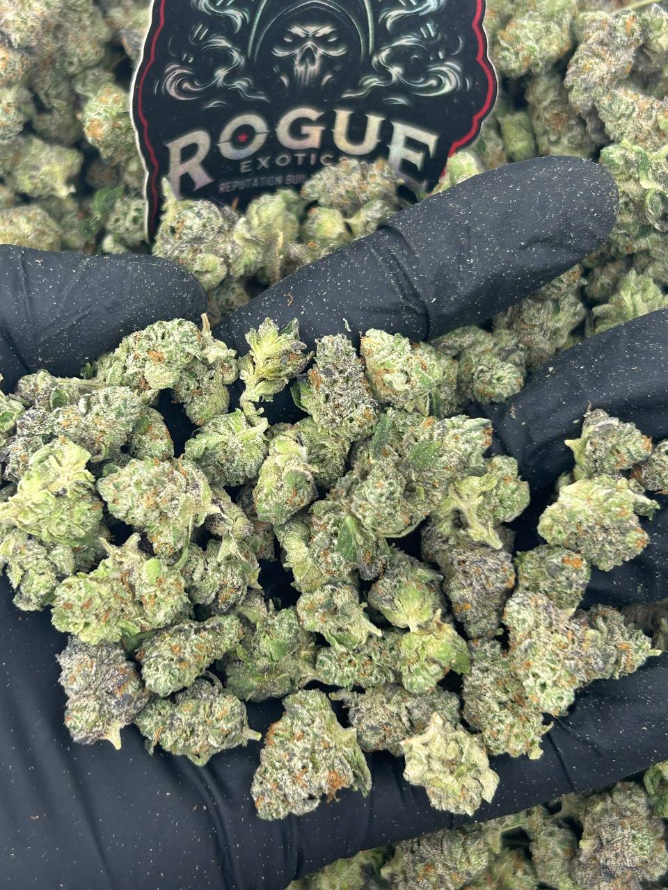 #N-ECS285 Blue Cookie Smalls