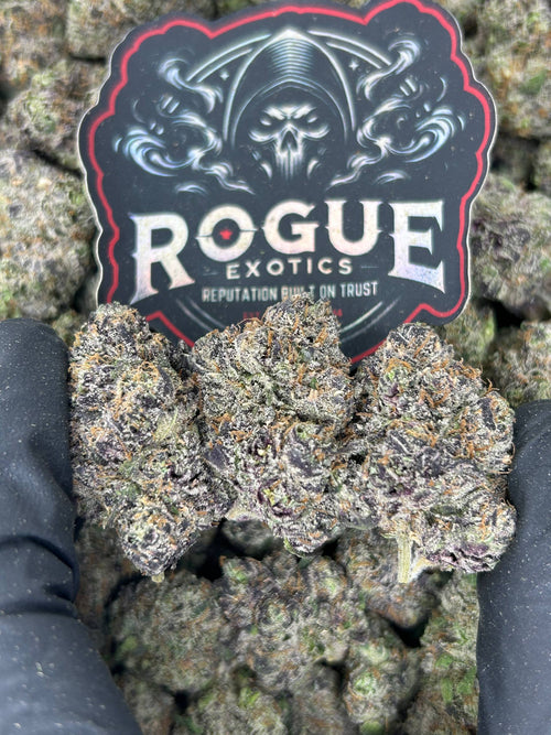 #N-CM1071 Black Cherry Gelato