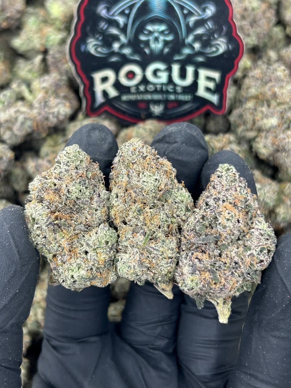#N-CM1078  Pineapple Express