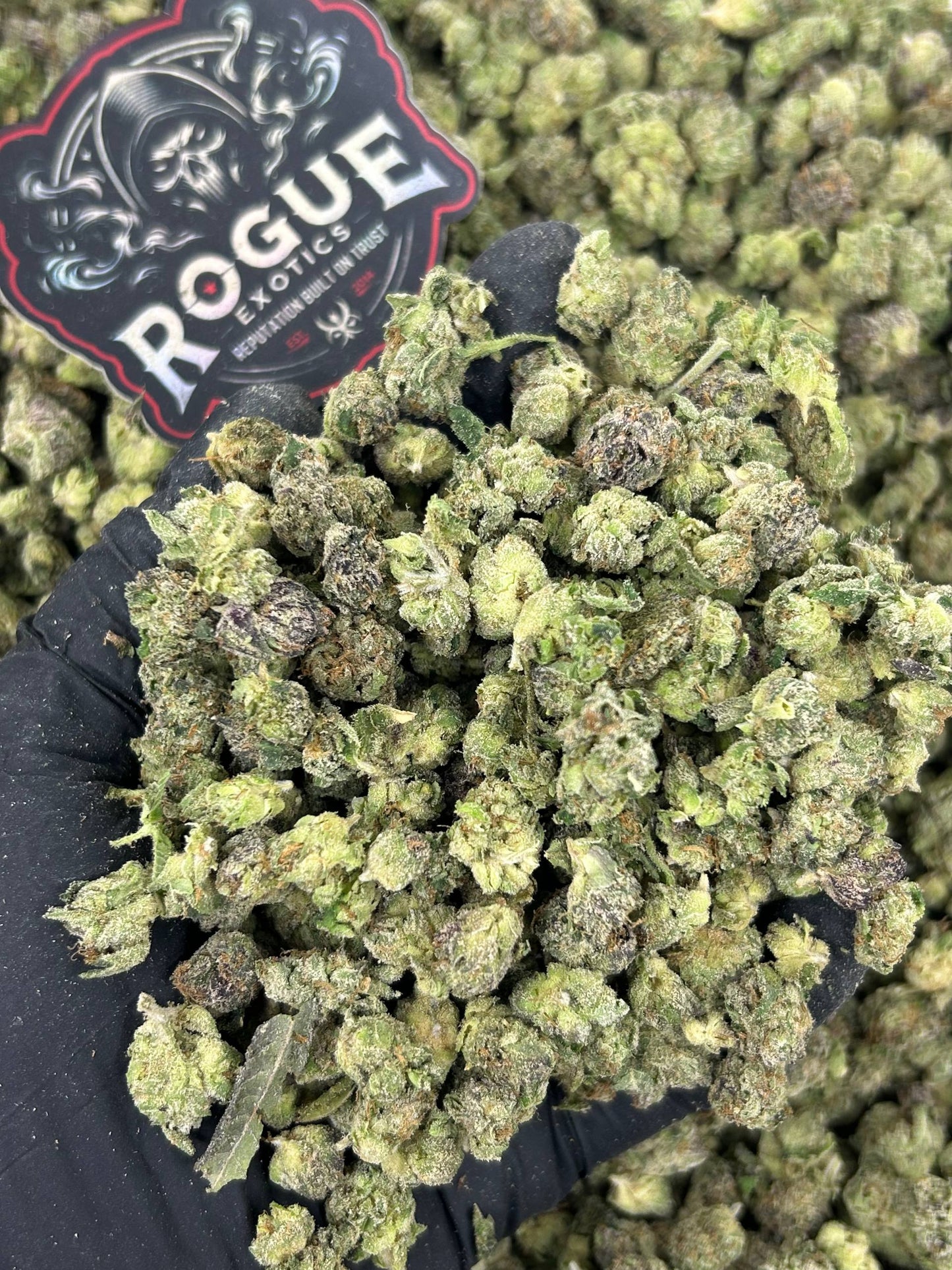 #N-ECS297 Green Apple Haze Smalls