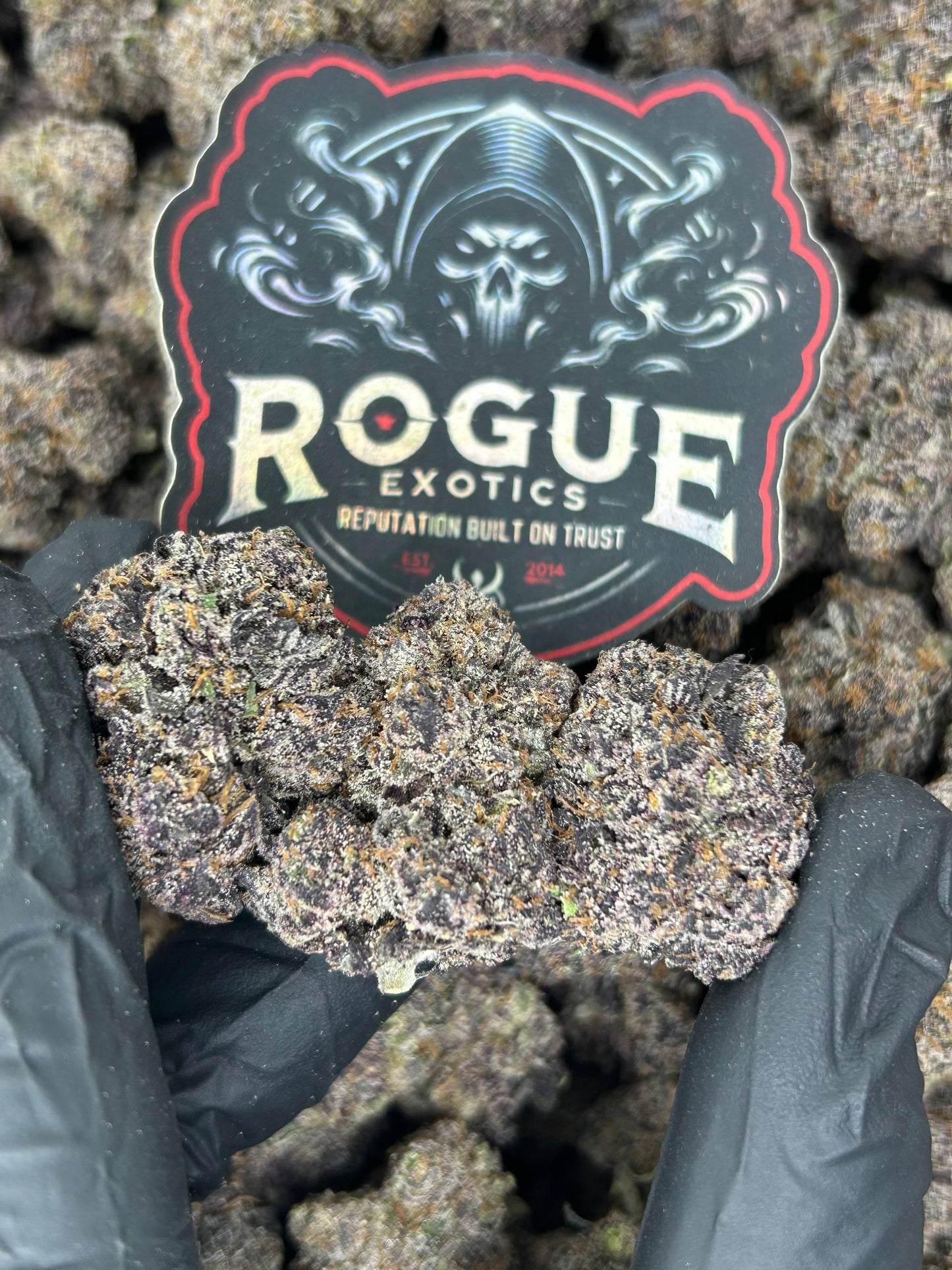 #N-CH328 Grape Zlurpee