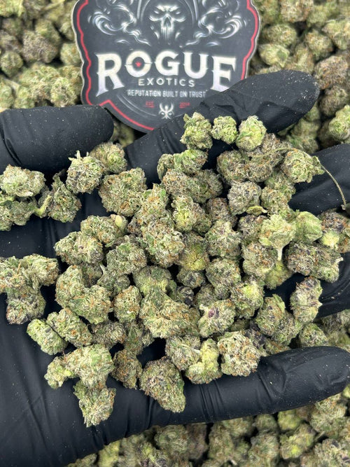 #N-ECS301 Blue Zkittle Smalls