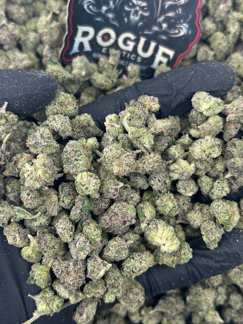 #N-ECS303 Lemon Cherry Smalls