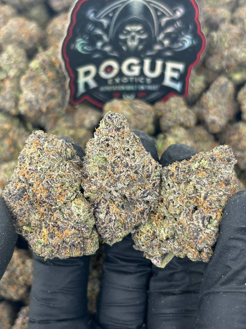 #N-CM1095 Purple Candy Gas
