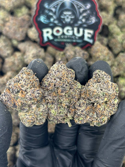 #N-CM1141 Purple Runtz