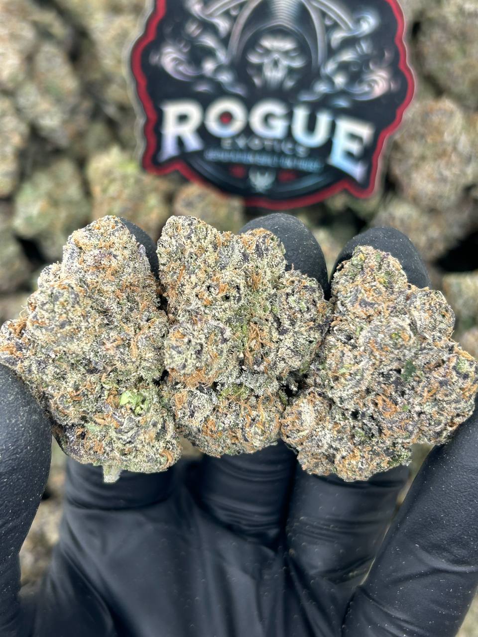 #N-CH343 Candy Reaper