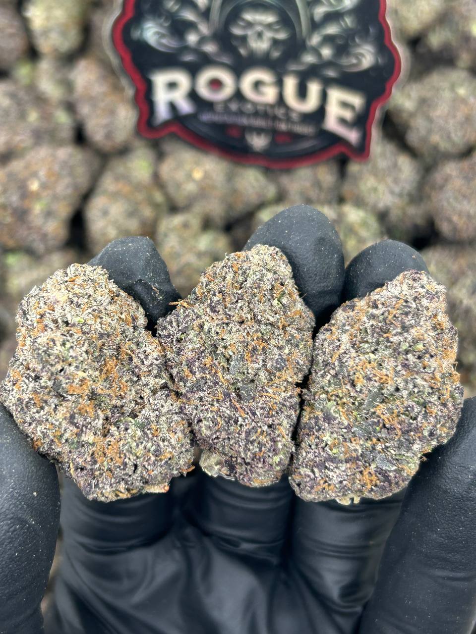 #N-CH345 Pineapple Express