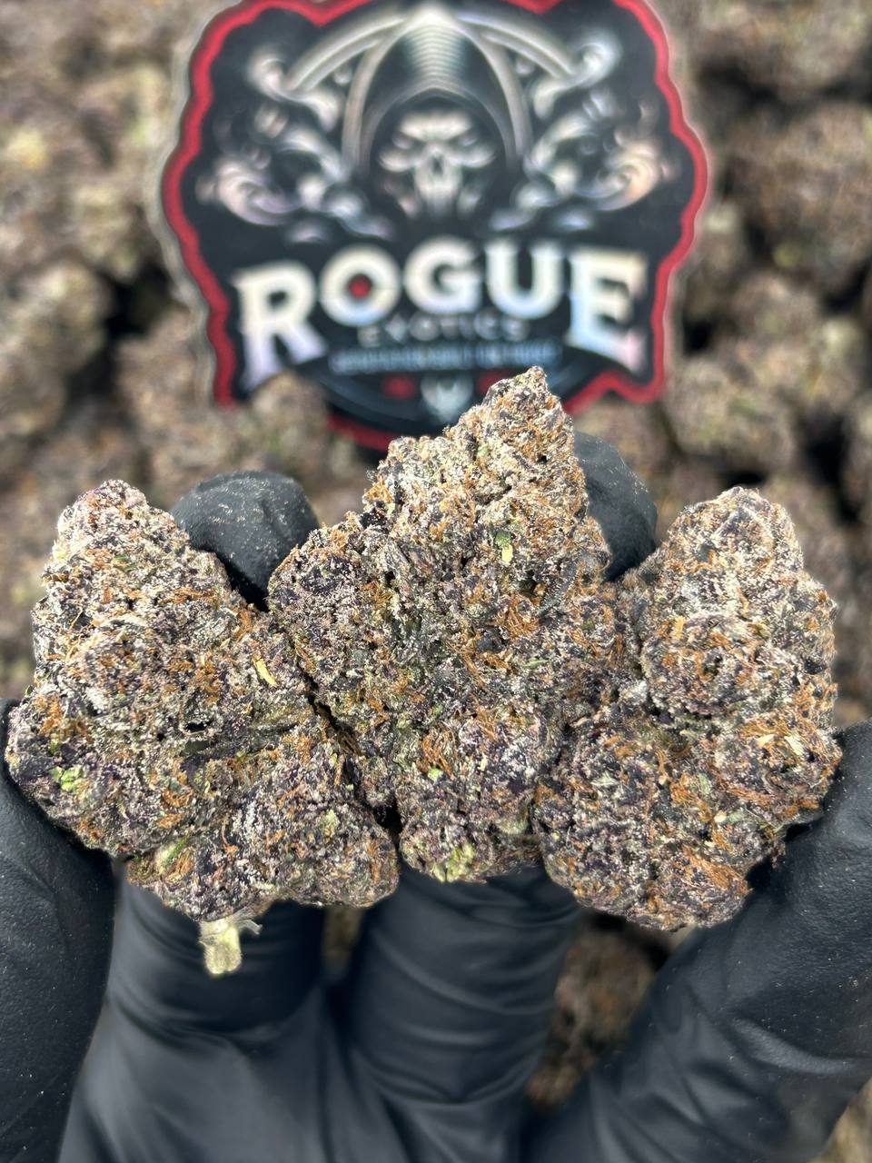#N-CH347 Purple Candybox