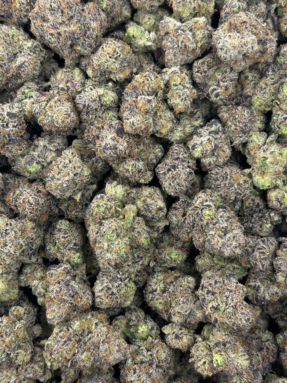 #N-CH349 Blueberry Mochiz