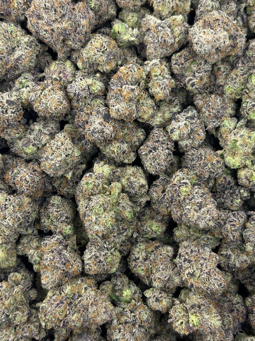 #N-CH349 Blueberry Mochiz