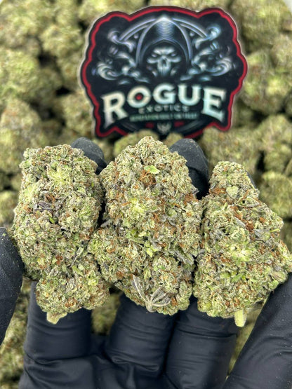 #N-EB249 Candy Bombz