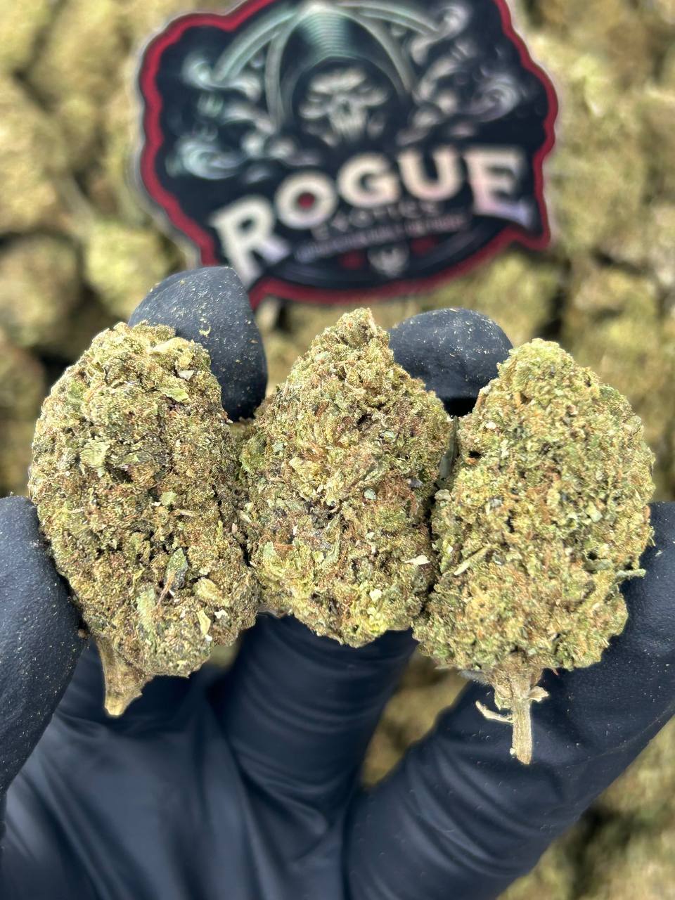 #B-EC011 Gorilla Glue