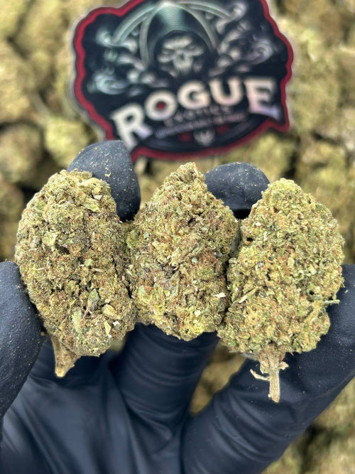 #B-EC011 Gorilla Glue