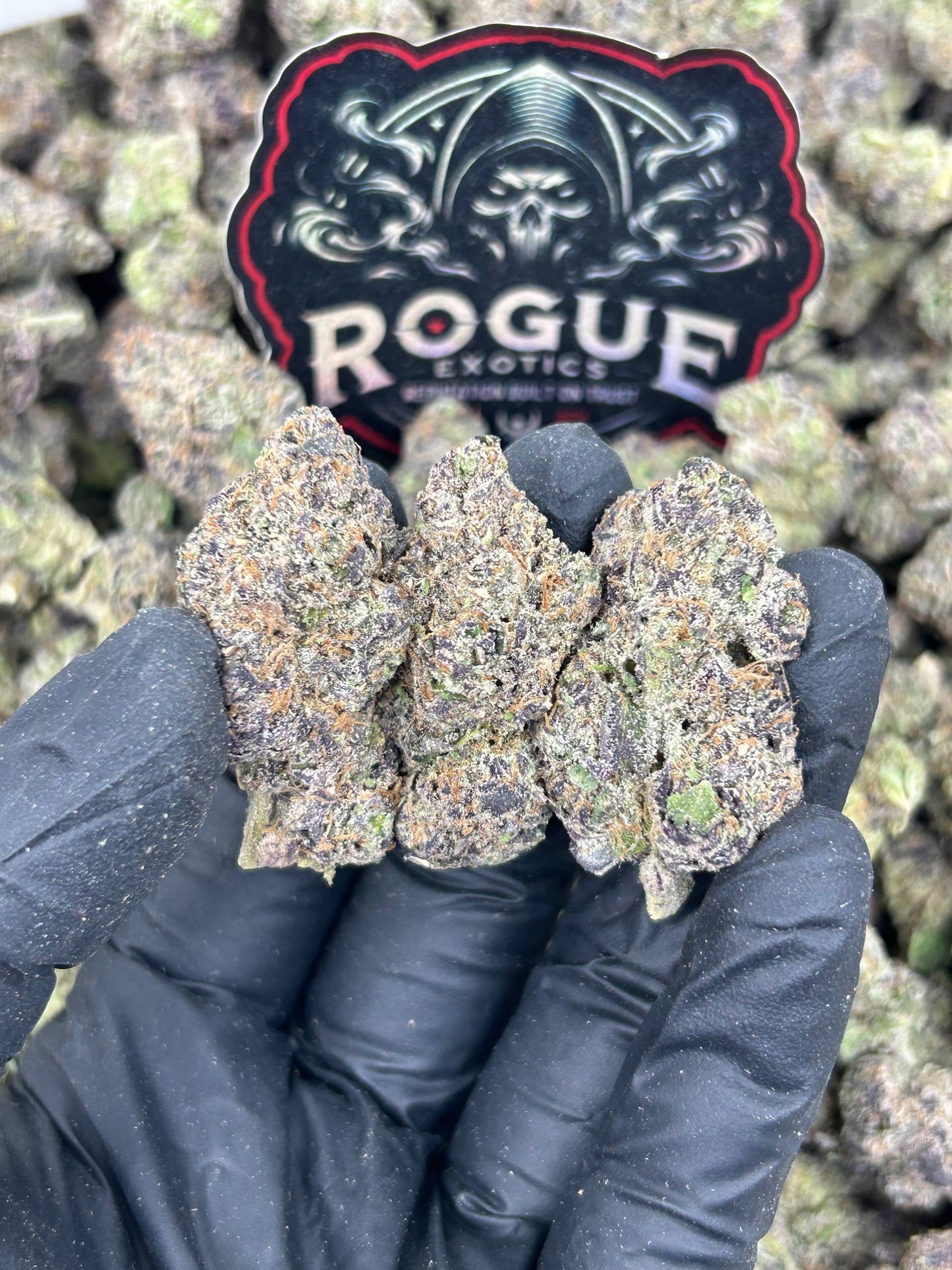 #N-EA773 Grape Candy