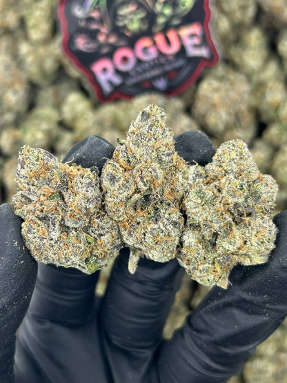#N-LC097 Rainbow Sherbet