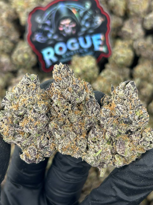 #N-EX093 Pineapple Express
