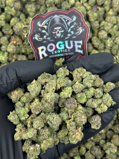 #N-ECS443 Frosted Gelato Smalls