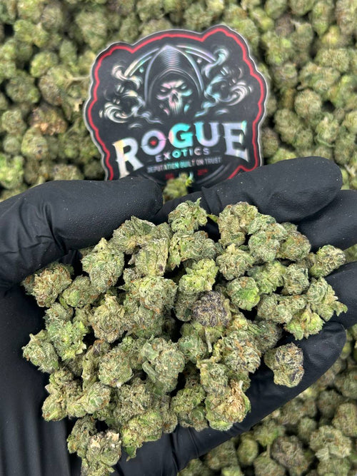 #N-ECS443 Frosted Gelato Smalls