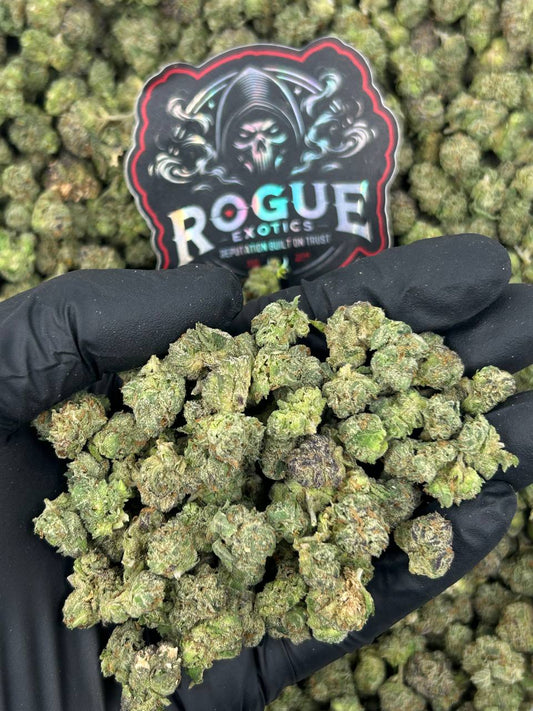#N-ECS443 Frosted Gelato Smalls