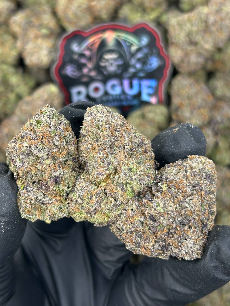 #N-CM1403 Guava Gummiez