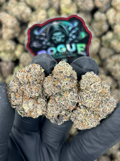 #N-CM1408 Tropical Zkittlez