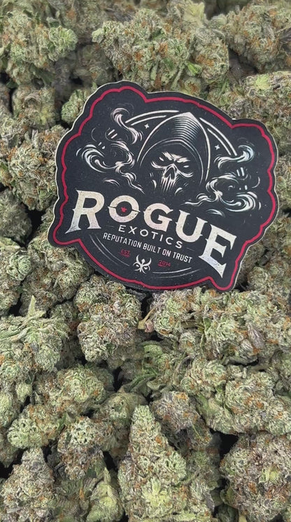 #N-EA685 Blue Cookiez