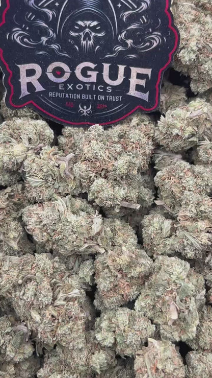 #B-EC013 Lemon Blizzard