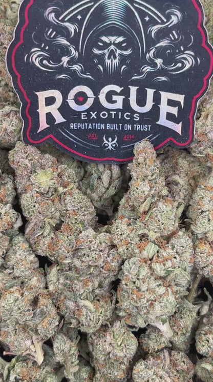 #N-EA707 Pineapple Gas