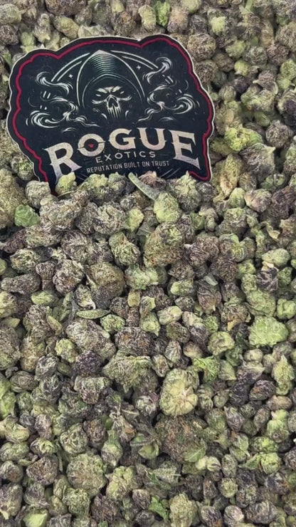 #N-ECS337 Purple Zooshi Smalls