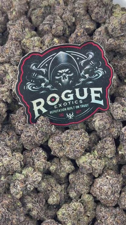 #N-CH347 Purple Candybox