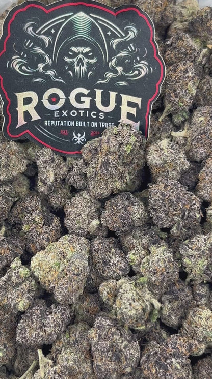 #N-CM1039 Black Cherry Gelato
