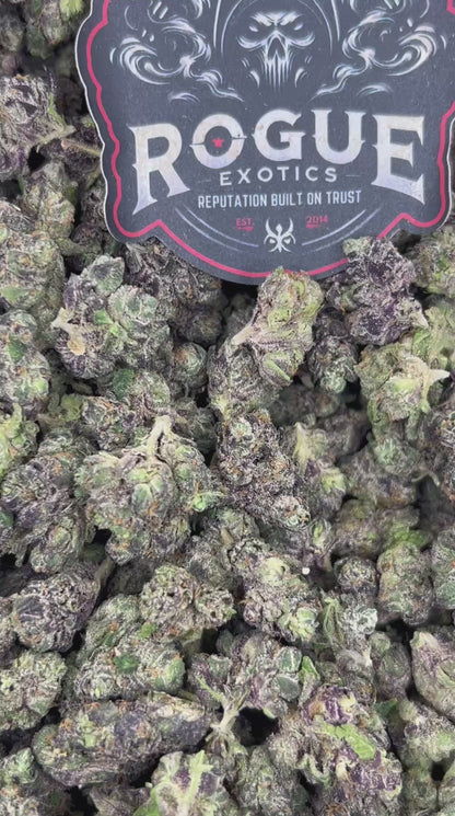 #N-EA692 Blue Mochi Meds