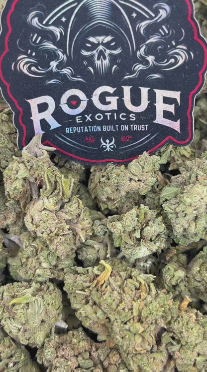 #B-EB008 Gorilla Glue