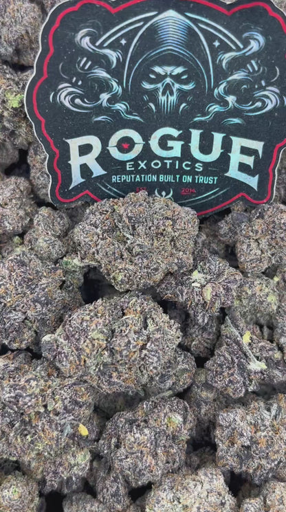 #N-CH328 Grape Zlurpee