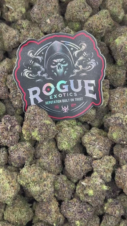 #N-CM1389 Purple Gelato Drip