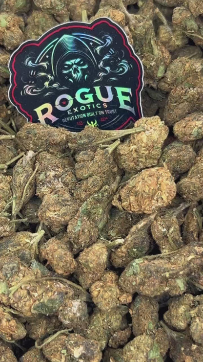 #B-EC019 Honey Haze