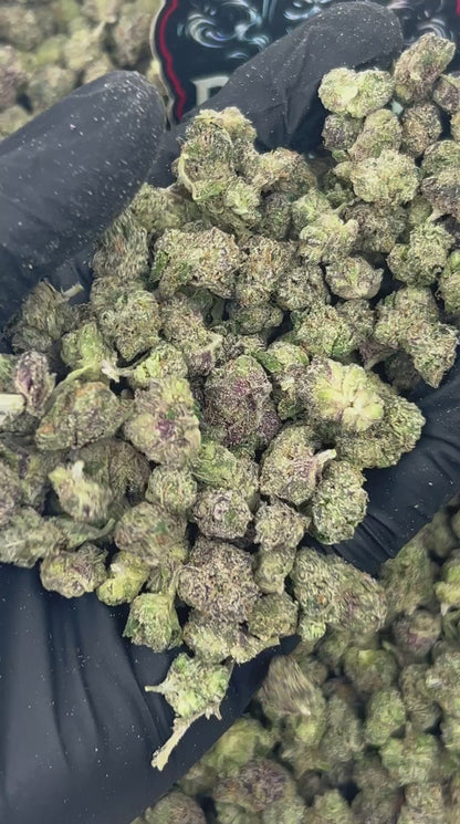 #N-ECS303 Lemon Cherry Smalls