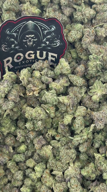 #N-ECS285 Blue Cookie Smalls
