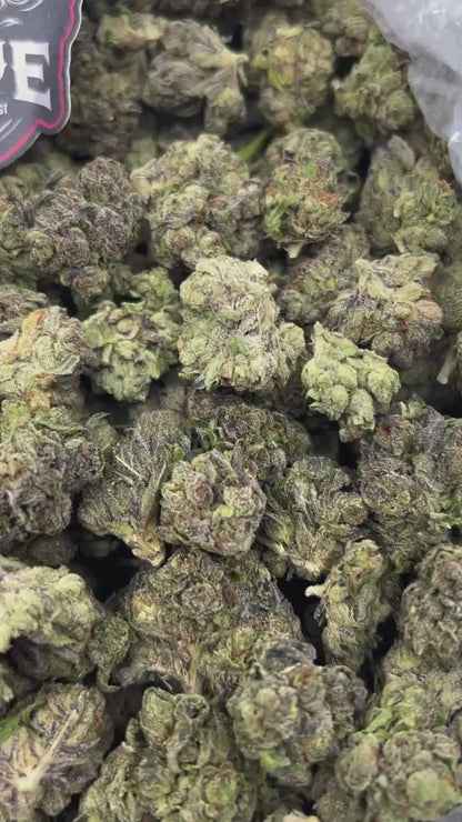#N-EB308 Purple Candy Blast