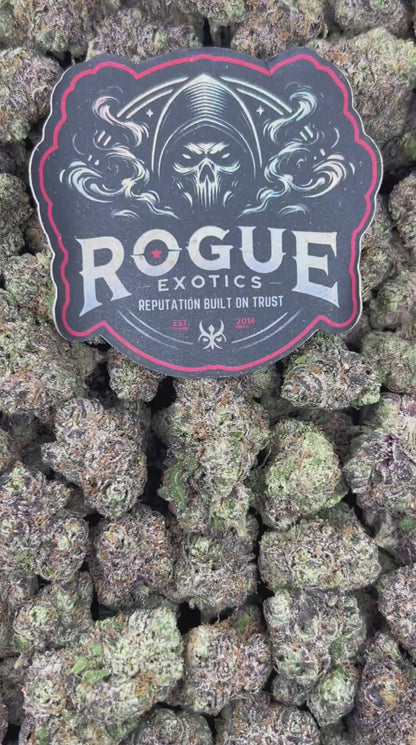 #N-CM1071 Black Cherry Gelato