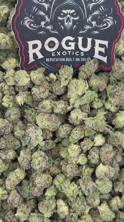 #N-ECS297 Green Apple Haze Smalls
