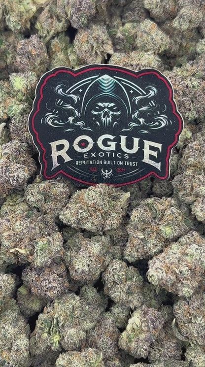 #N-CM1078  Pineapple Express